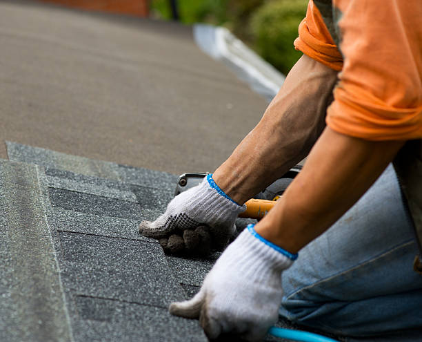 Best Roof Maintenance Services  in Pemberwick, CT